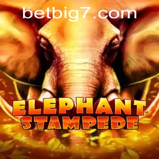 Discovering the Excitement of ElephantStampede with BIG7.BET